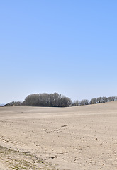 Image showing Barren farm land with trees and blue sky background. A desolate agricultural farmland caused by summer heat droughts and impact on agriculture industry. Open and empty dry sand field with copy space