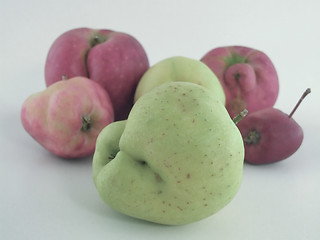 Image showing mutant apples