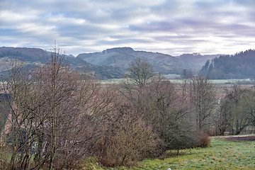 Image showing Landscape view of a grassy and deserted field for agriculture and gardening. Secluded and empty grassland or forest with trees, bushes and greenery. Plants and vegetation in a remote area in nature