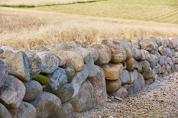 Image showing An old wall made of rock on a farm outside on a sunny day, separating crops with a man made structure. Stone barrier in rural architecture design and style to keep growing produce safe and secluded