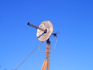 Image showing primitive antenna