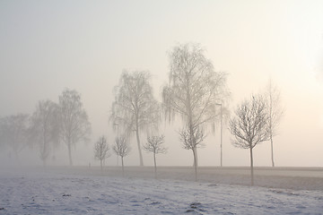 Image showing snow field in fog