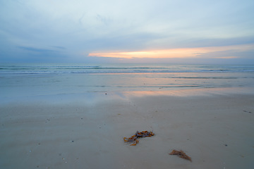 Image showing Seascape and landscape of a blue sunset on the west coast of Jutland in Loekken, Denmark. Beautiful cloudscape on an empty beach at dusk. Clouds over the ocean and sea in the evening with copyspace