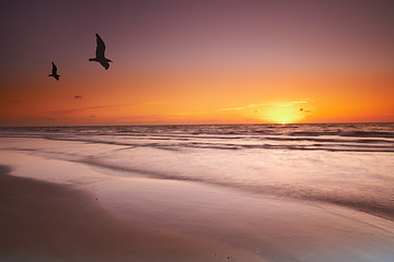 Image showing Seascape and landscape of a golden sunset on the west coast of Jutland in Loekken, Denmark. Beautiful cloudscape on an empty beach at dusk. Birds flying over the ocean in the evening with copyspace