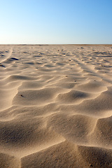 Image showing Landscape of sand dunes on west coast of Jutland in Loekken, Denmark. Closeup of sand surface texture on empty desert with blue sky and copyspace. Peaceful calm scenic to explore for travel vacation