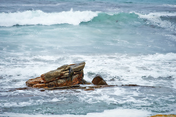 Image showing One rock with waves crashing around it. Rock formation in calm peaceful blue ocean. Waves moving in and out by the seaside. Rocky shoreline with clear water. Holiday location for travel destination