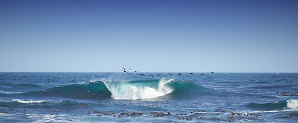 Image showing One wave crashing in the sea with seagulls flying and copy space. Rolling waves in a calm peaceful ocean against a blue clear sky. Calm and serene nature scene. Waves by the seaside on a shoreline