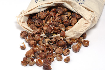 Image showing Waschnuesse, Soap nuts