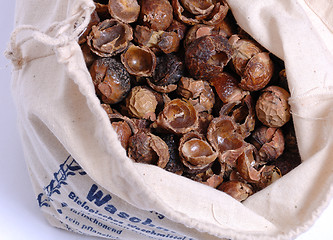 Image showing Waschnuesse, Soap nuts in a bag