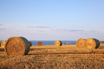 Image showing Straw bales