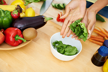 Image showing Woman, hands and bowl of lettuce in kitchen for salad, diet or natural nutrition on wooden table at home. Closeup of female person or vegetarian preparing vegetables for vegan meal or healthy snack