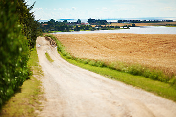 Image showing Countryside, empty and gravel road with landscape, forest or grass field background in nature with sky. Environment, trees and route with path to river, lake or scenery for freeway, travel or journey