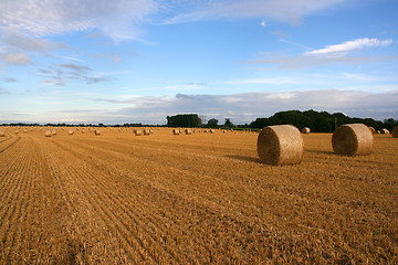 Image showing France countryside