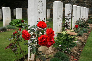 Image showing War cemetery