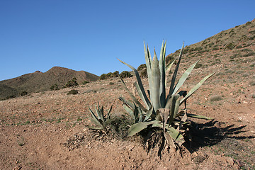 Image showing Andalusia