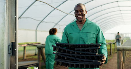 Image showing Portrait, farmer and black man with tray at greenhouse for organic vegetables, plant and growth for sustainability. Face, smile and person at nursery for agriculture, African worker or business owner