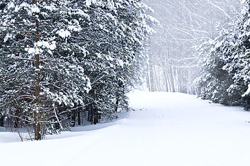 Image showing Winter landscape