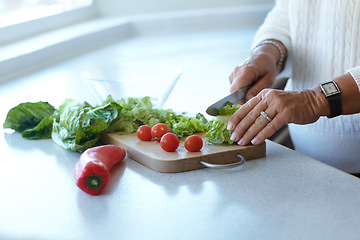 Image showing Hands on chopping board, vegetables and knife on table in kitchen cooking organic food. Woman cutting plants on counter, prepare lettuce and tomatoes, pepper and nutrition for healthy diet in home