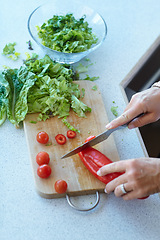 Image showing Hands on chopping board, vegetables and knife on table top in kitchen cooking food. Closeup of cutting plants on counter, above and tomato, pepper and nutrition for healthy lettuce salad in home