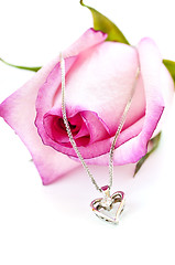 Image showing Diamond necklace on rose