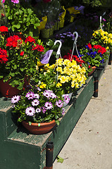 Image showing Flower baskets for sale