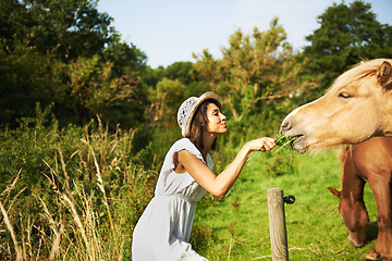 Image showing Woman, horse and feeding grass in field with smile, care and love for pet at farm, countryside and spring. Girl, equine animal and happy with food for health, nutrition and diet in meadow for summer