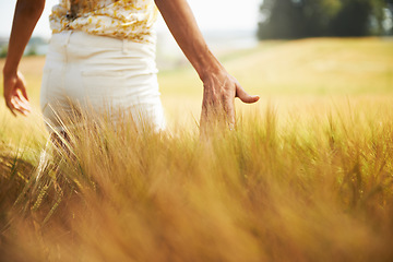 Image showing Closeup, walking or back of woman in a field for freedom in the countryside in spring to relax on break. Hands, wellness or person in garden or farm for fresh air on holiday vacation or nature travel