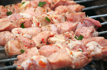 Image showing Shashlik