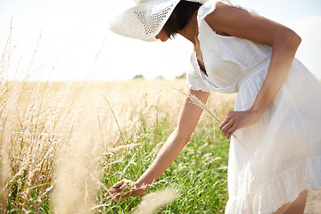 Image showing Sunshine, wheat field and woman with nature, summer and environment with break, weekend and landscape. Person, girl and traveller with freedom, exploring and plants with ecology, spring and grass