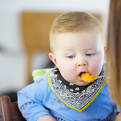 Image showing Toddler, eating and meal with spoon in kitchen for lunch with baby food, carrot or squash. Little boy, infant or hungry for delicious, yummy and health in home for future, growth or child development