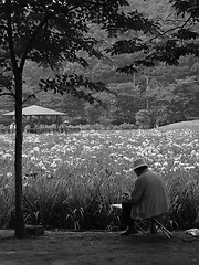 Image showing sketching in the park