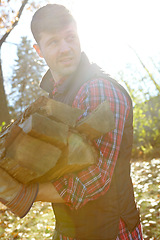 Image showing I think theres enough here...A handsome lumberjack holding a pile of wood he has collected. Young man in the forests collecting wood for winter.