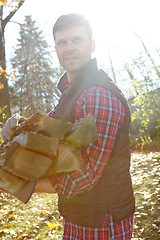 Image showing A handsome lumberjack holding a pile of wood he has collected for a cosy fire to warm a cabin in the woods. Attractive macho man carrying wood to burn while living off the grid with no worries