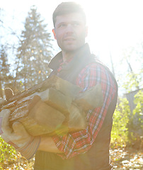 Image showing Closeup of a handsome lumberjack holding a pile of wood he has collected. One mature man in the forest collecting wood for a campfire. Caucasian woodcutter in plaid shirt, looking in contemplation