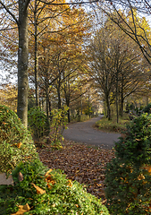 Image showing idyllic cemetery at autumn time