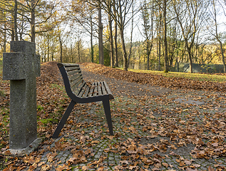 Image showing bench in a cemetery at autumn time