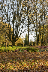 Image showing idyllic cemetery at autumn time