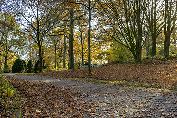 Image showing idyllic cemetery at autumn time