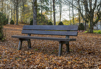Image showing bench in a cemetery at autumn time