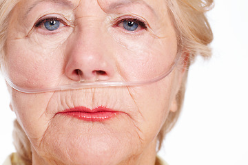 Image showing Illness takes its toll ... are you covered for the eventuality. A sickly senior woman wearing a nasal cannula for oxygen isolated on white - Macro Closeup.