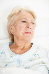 Image showing Despairing senior woman looks to the past - Senior HealthIllness. Ailing senior woman wearing a nasal cannula looks out of her hospital window thoughtfully.