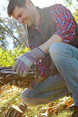 Image showing Closeup of a handsome lumberjack holding a pile of wood he has collected. One mature man in the forest collecting wood for a campfire. Caucasian woodcutter in plaid shirt, looking in contemplation