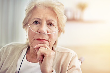 Image showing Taking it one day at a time. Cropped portrait of a senior woman at home.