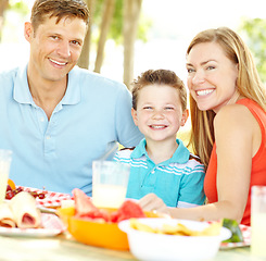 Image showing Enjoying a family lunch. A happy young family relaxing in the park and enjoying a healthy picnic.