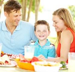 Image showing I love family time. A happy young family relaxing in the park and enjoying a healthy picnic.