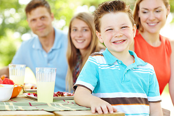 Image showing Summertime was made for picnics. A happy young family relaxing in the park and enjoying a healthy picnic.