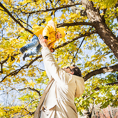 Image showing More, more,...dad, that's fun. Happy young father throws his cute little happy baby boy up in the air. Father's Day, Father and his son baby boy playing and hugging outdoors in nature in fall.