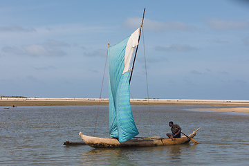 Image showing A fisherman sails back from the sea Morondava, Madagascar