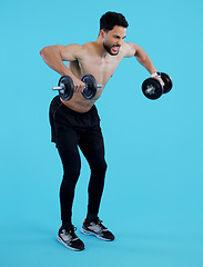 Image showing Fitness, dumbbells and man with workout, exercise and training with wellness on blue background. Person, model and bodybuilder with equipment, challenge and progress with muscle development or health