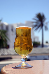 Image showing Cold Beer with reflection palm and blue sky